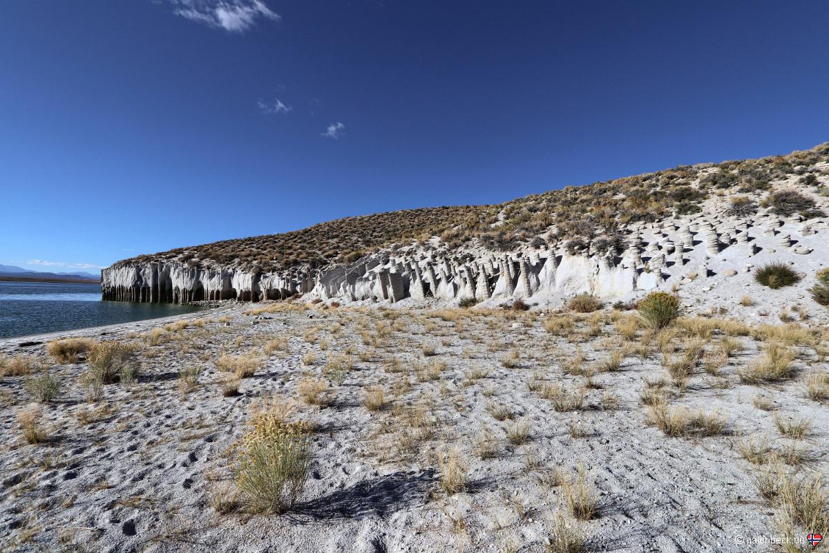 Crowley Lake Columns