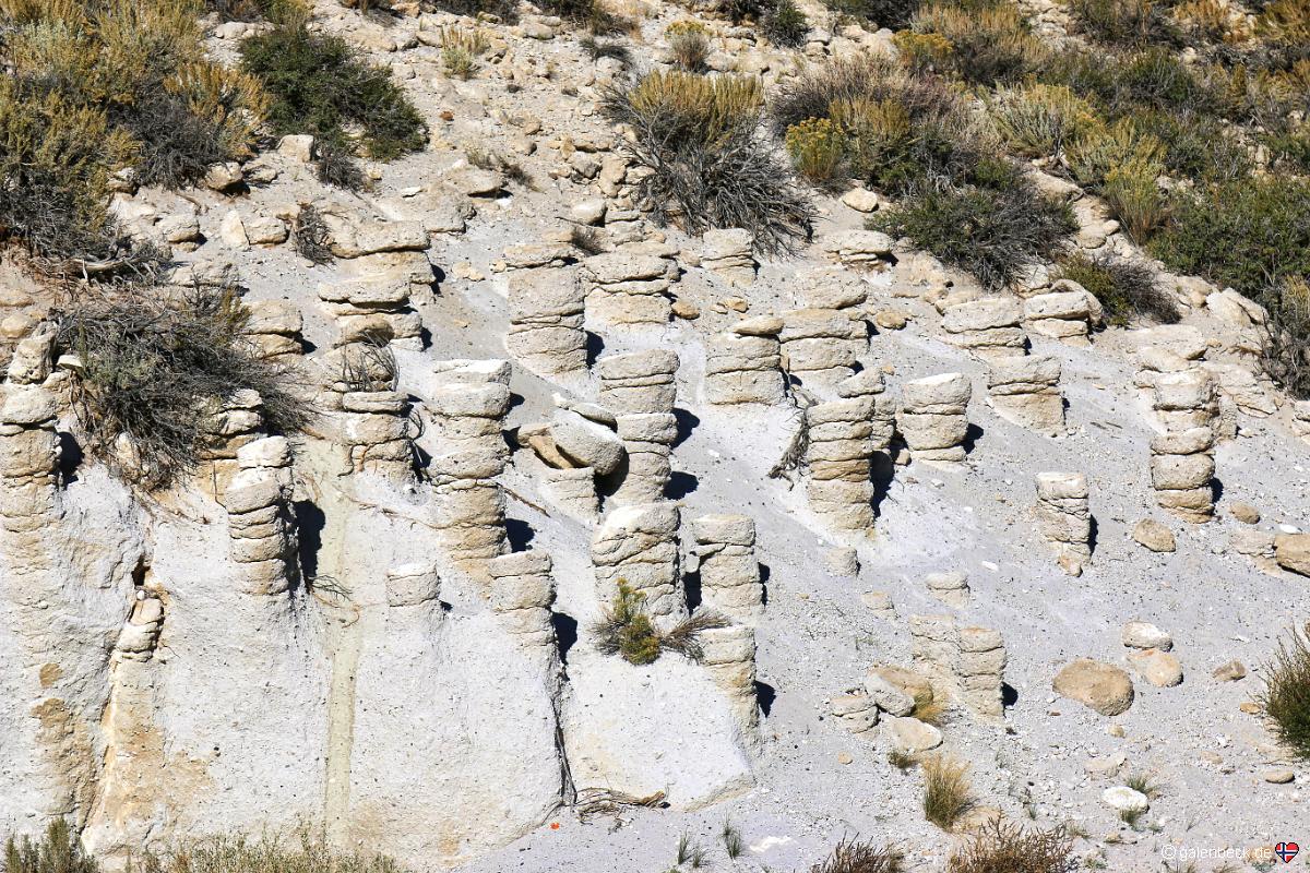 Crowley Lake Columns