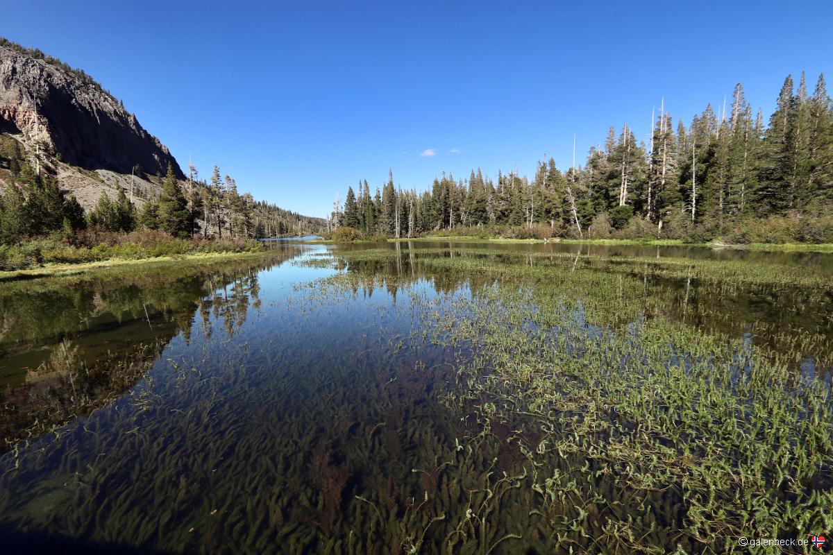 Mammoth Lakes