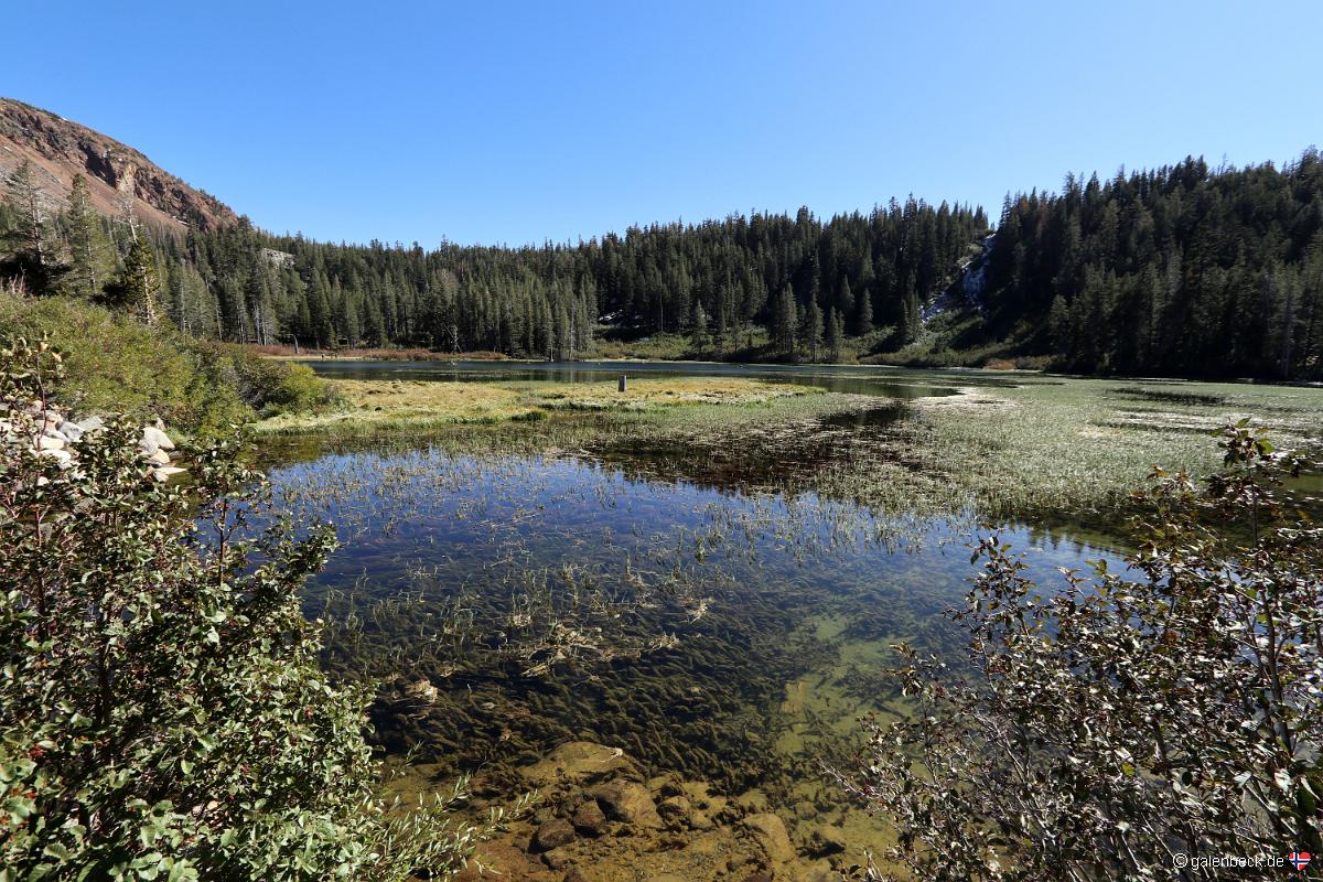 Mammoth Lakes