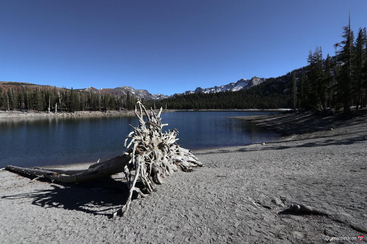 Horseshoe Lake