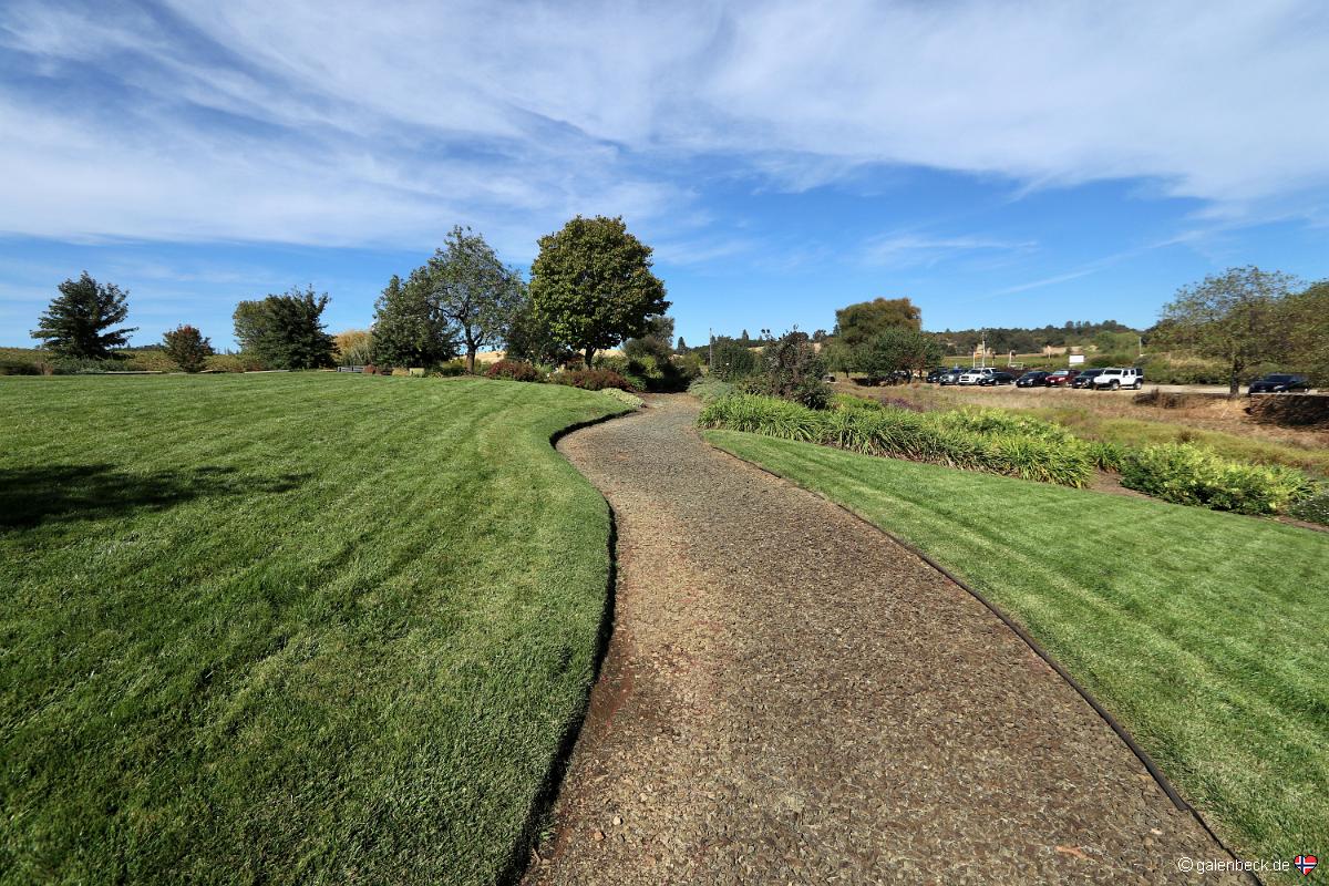 Amador Flower Farm