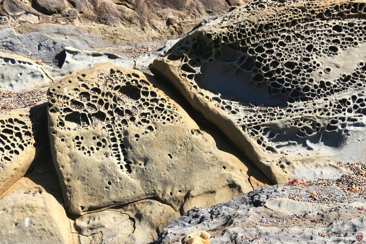 Bean Hollow State Beach