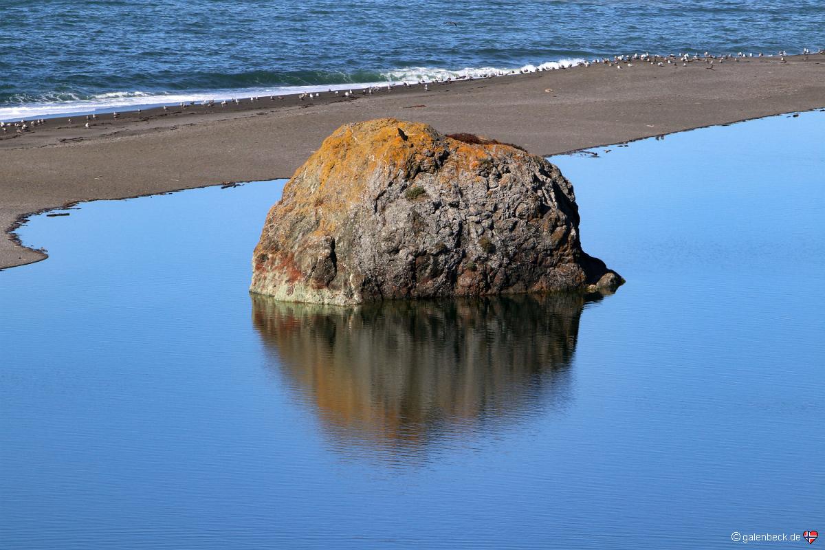 Sonoma Coast State Park