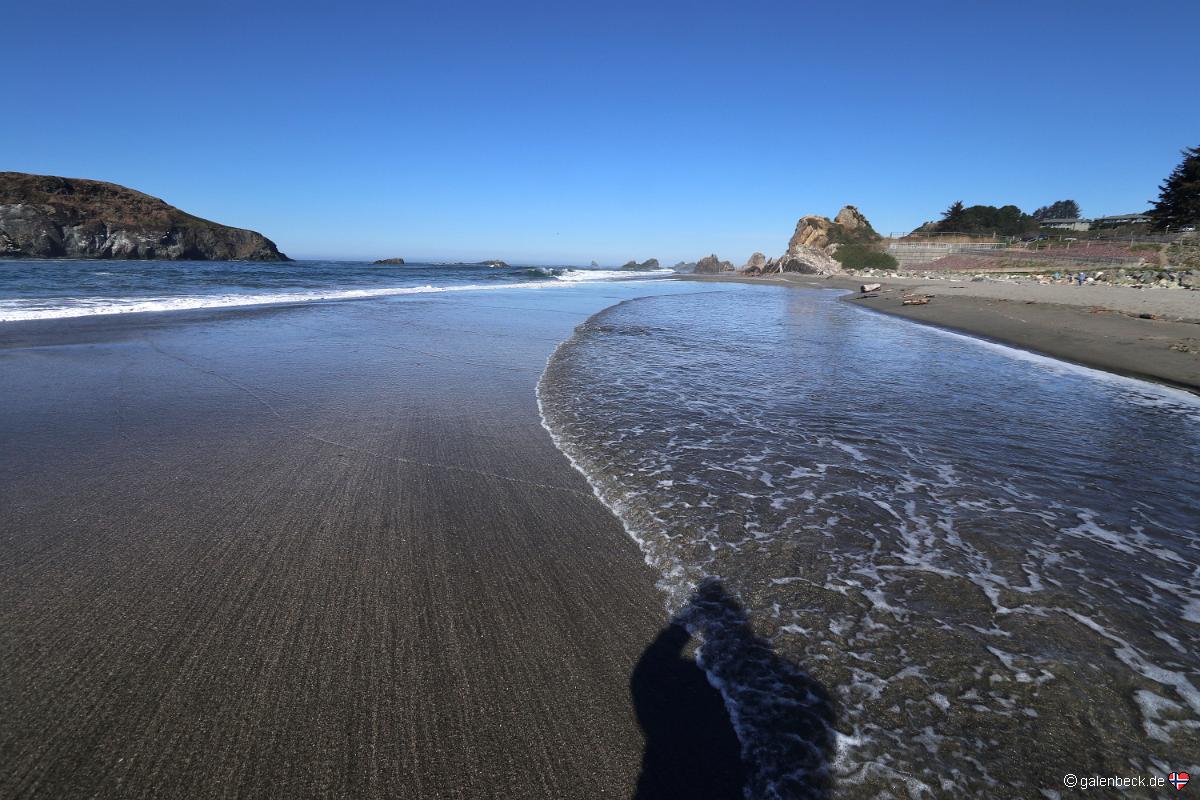 Harris Beach State Park