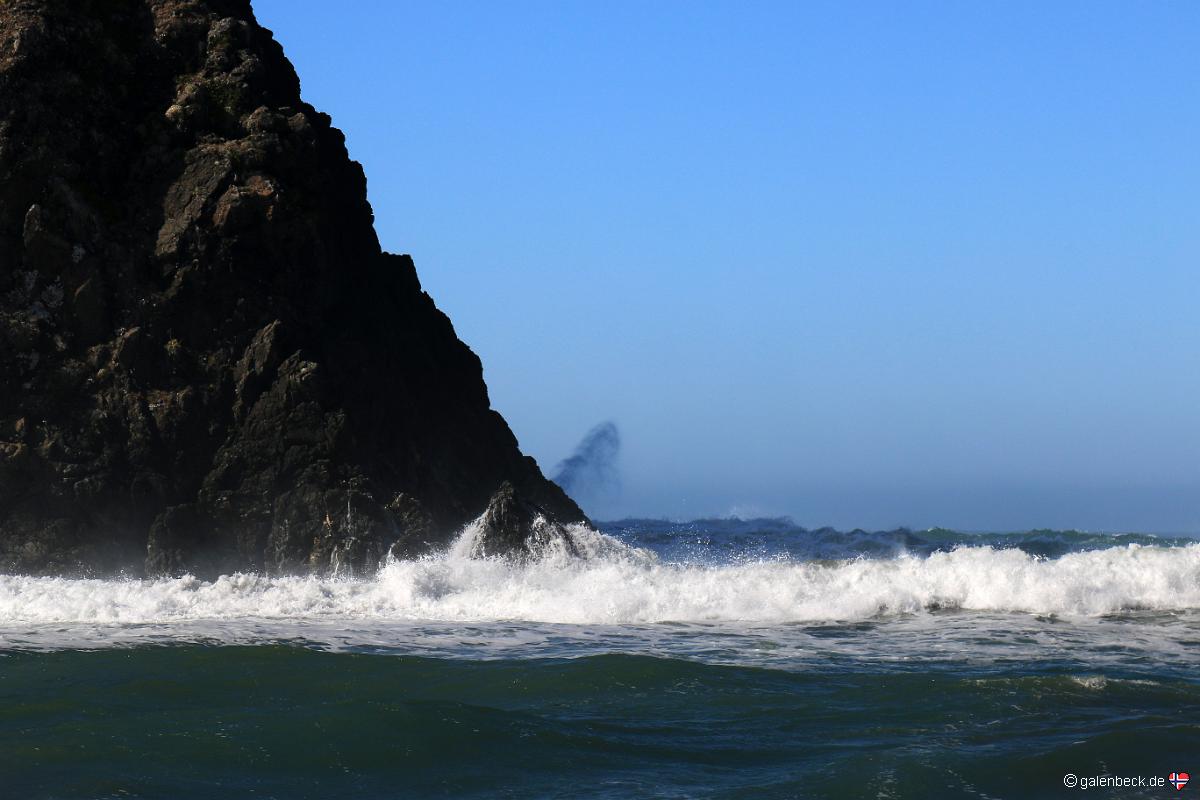 Whaleshead Beach