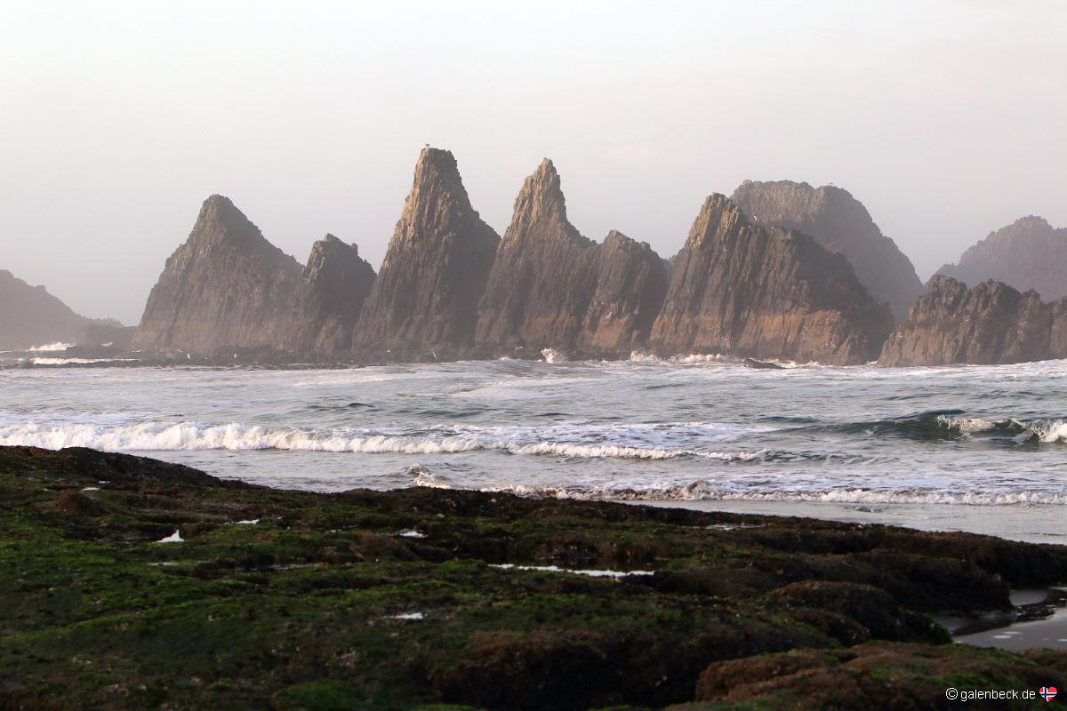 Seal Rock State Recreation Site
