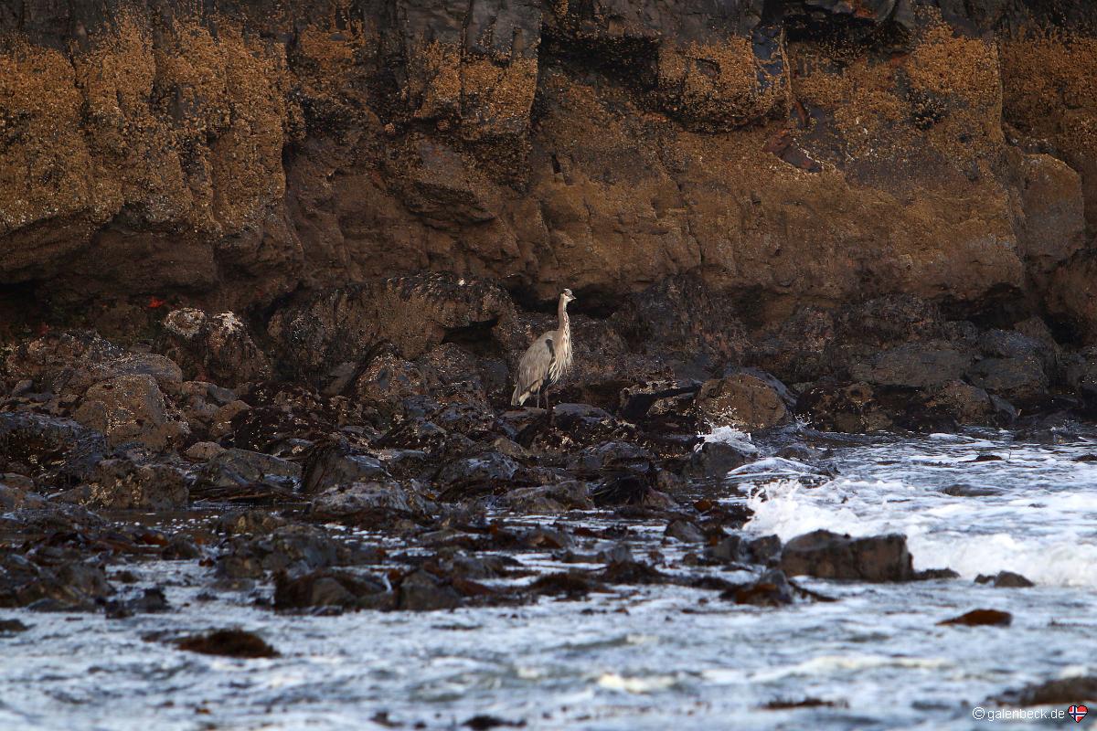 Seal Rock State Recreation Site