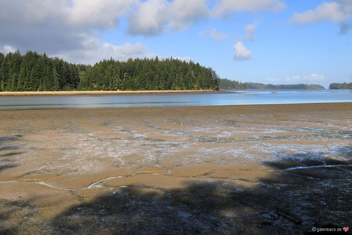 Willapa National Wildlife Refuge