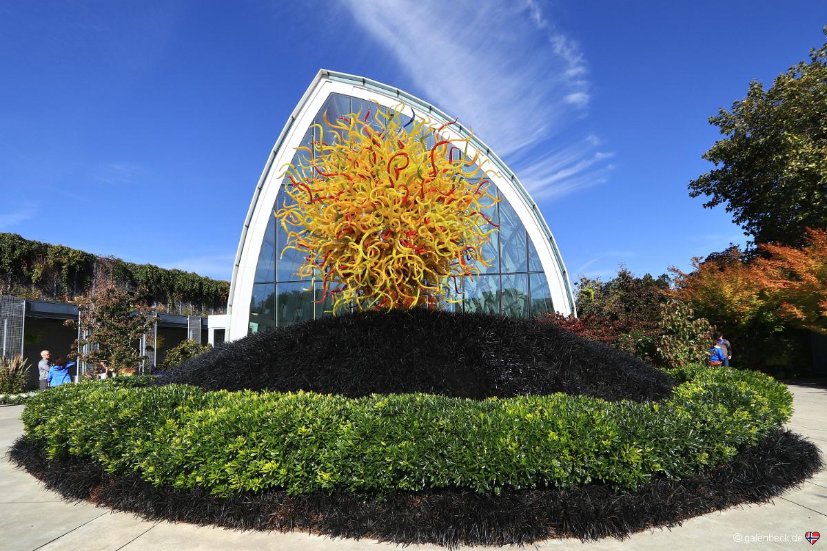 Chihuly Garden and Glass