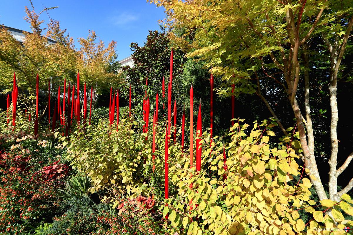 Chihuly Garden and Glass
