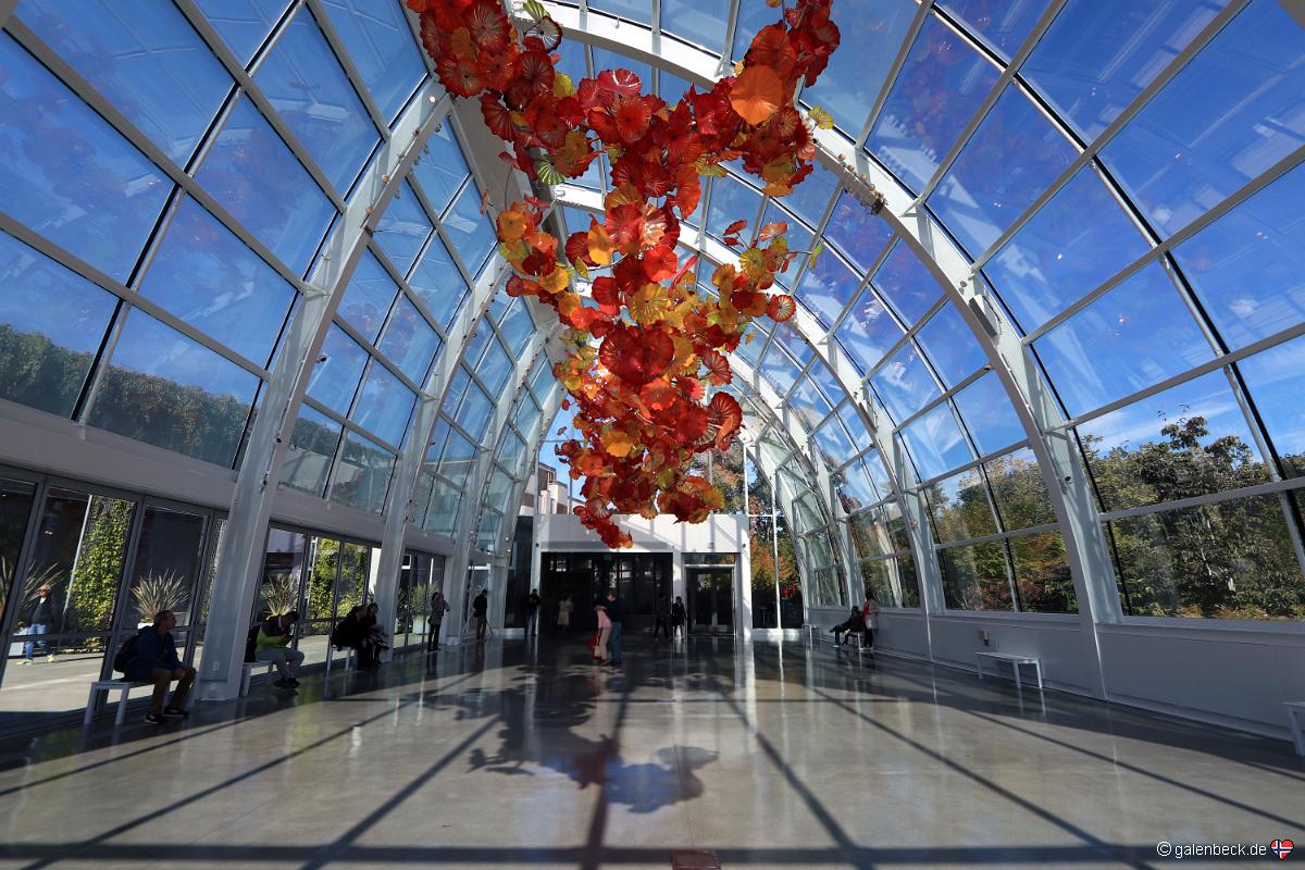Chihuly Garden and Glass