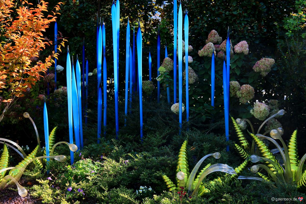 Chihuly Garden and Glass