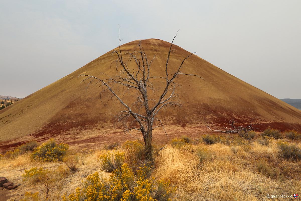 John Day Fossil Beds National Monument - Painted Hills Unit