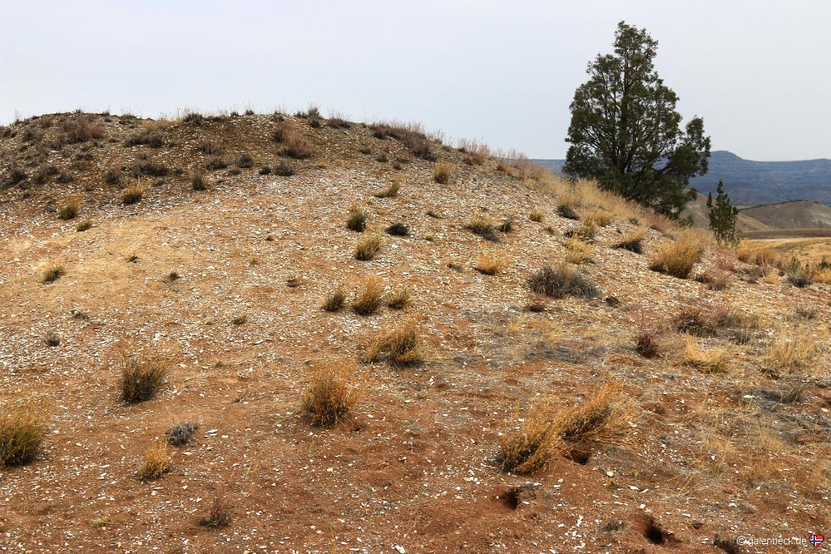 John Day Fossil Beds National Monument - Painted Hills Unit