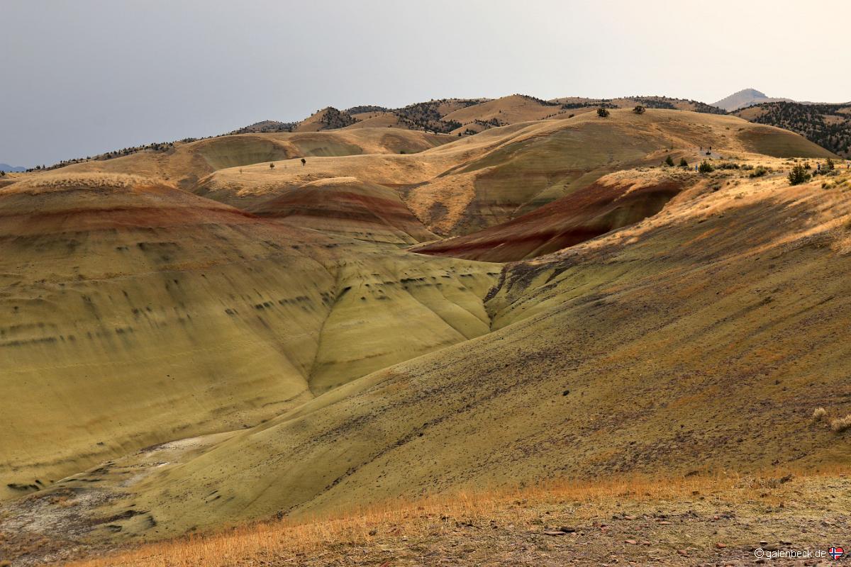 John Day Fossil Beds National Monument - Painted Hills Unit