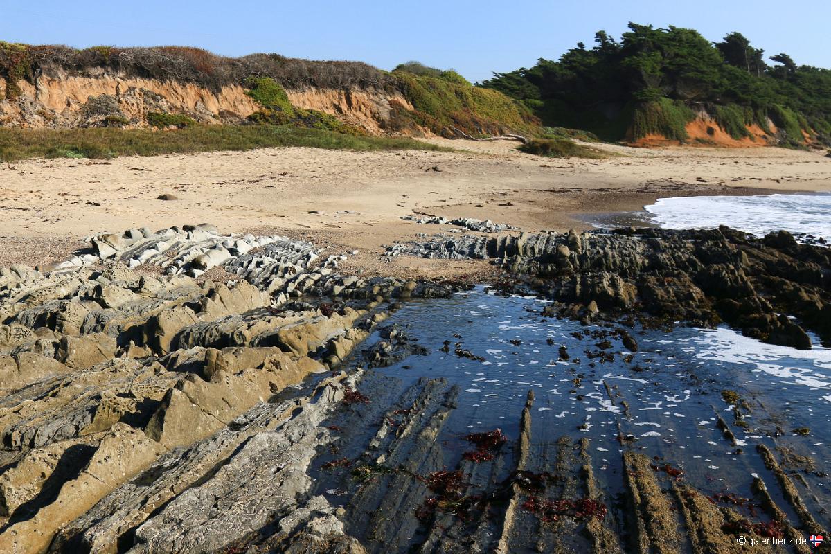 Pescadero Point