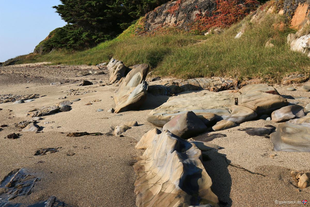 Pescadero Point