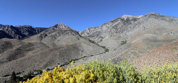 Onion Valley Road