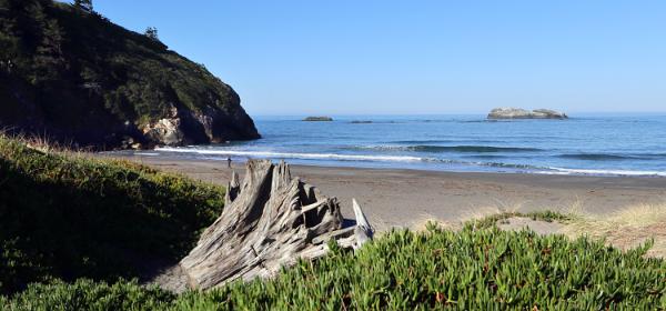 Trinidad Beach