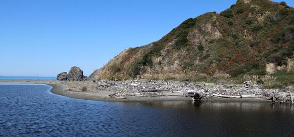 Redwood Creek Beach