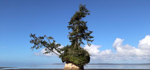 Willapa National Wildlife Refuge