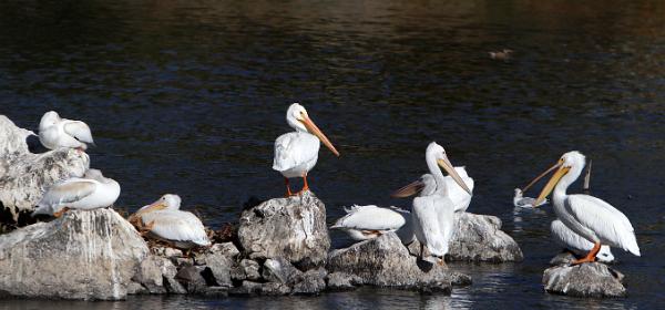 Putnams-Point Klamath Falls