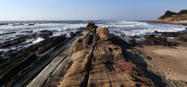 Pescadero Point