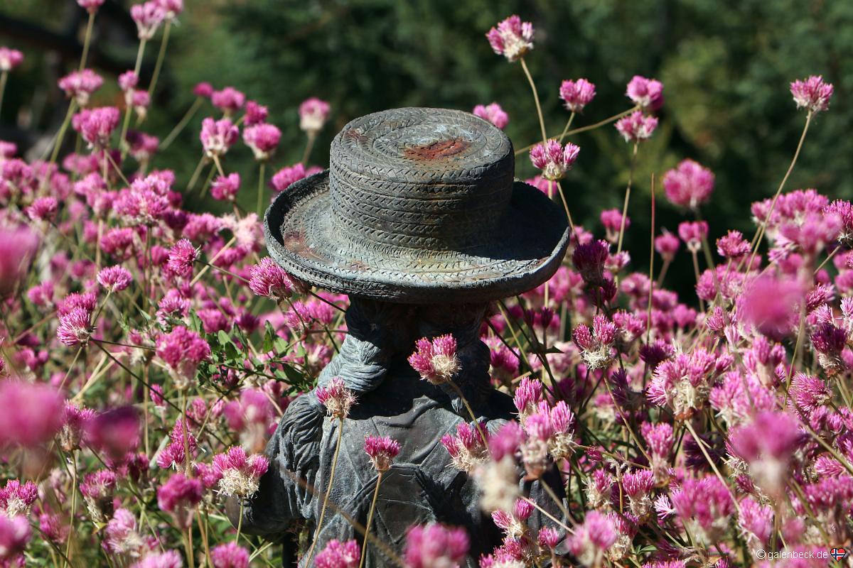 Amarillo Botanical Gardens