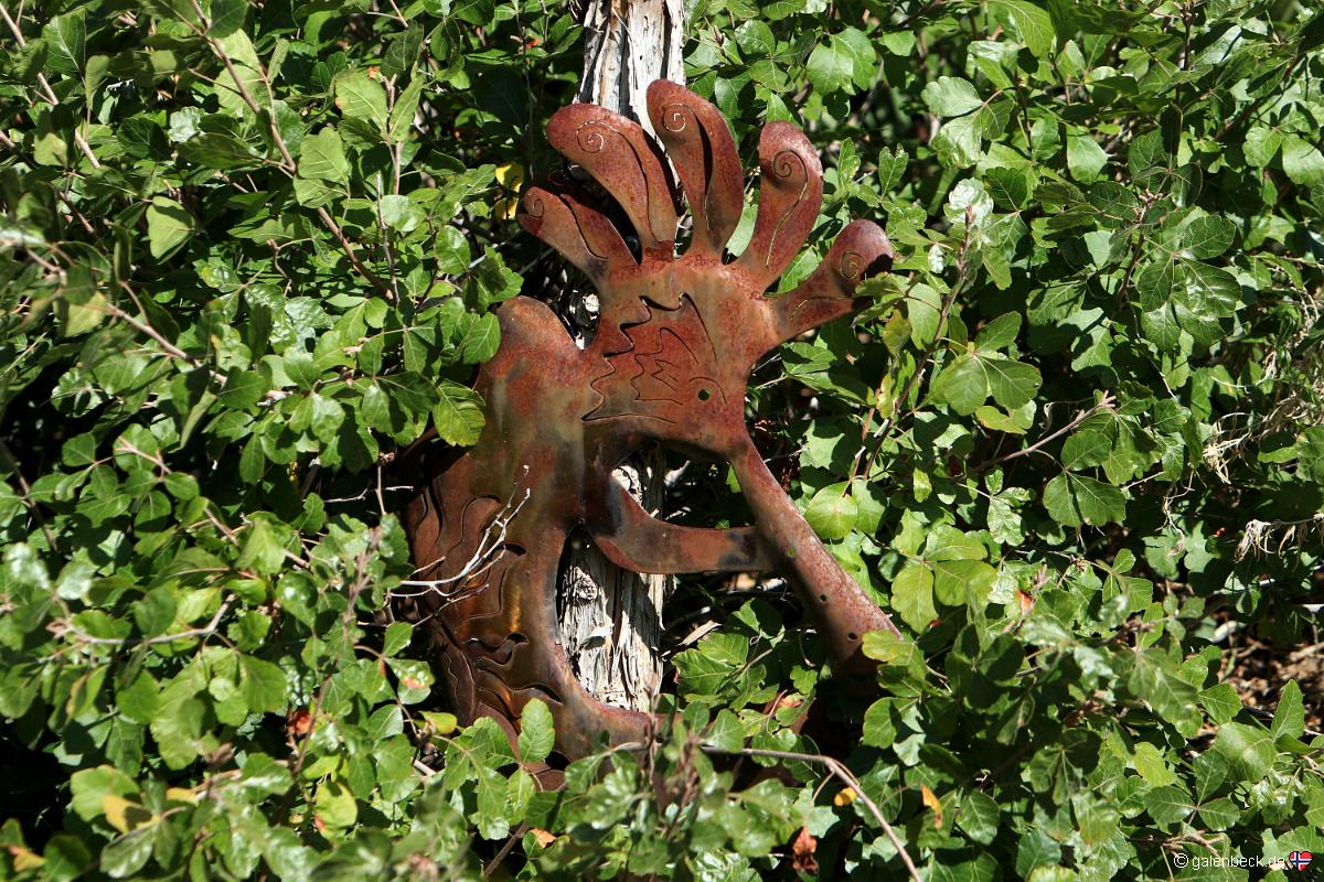 Amarillo Botanical Gardens