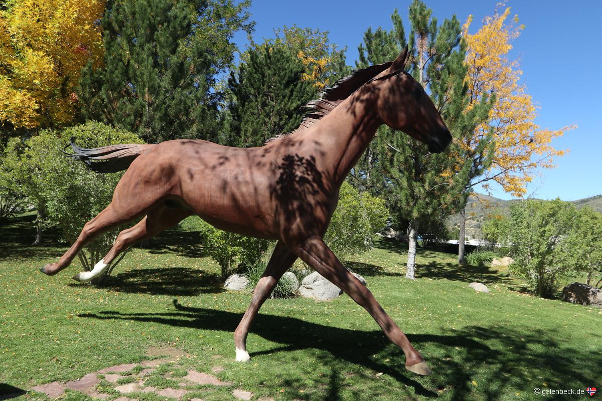 The Hubbard Museum of the American West