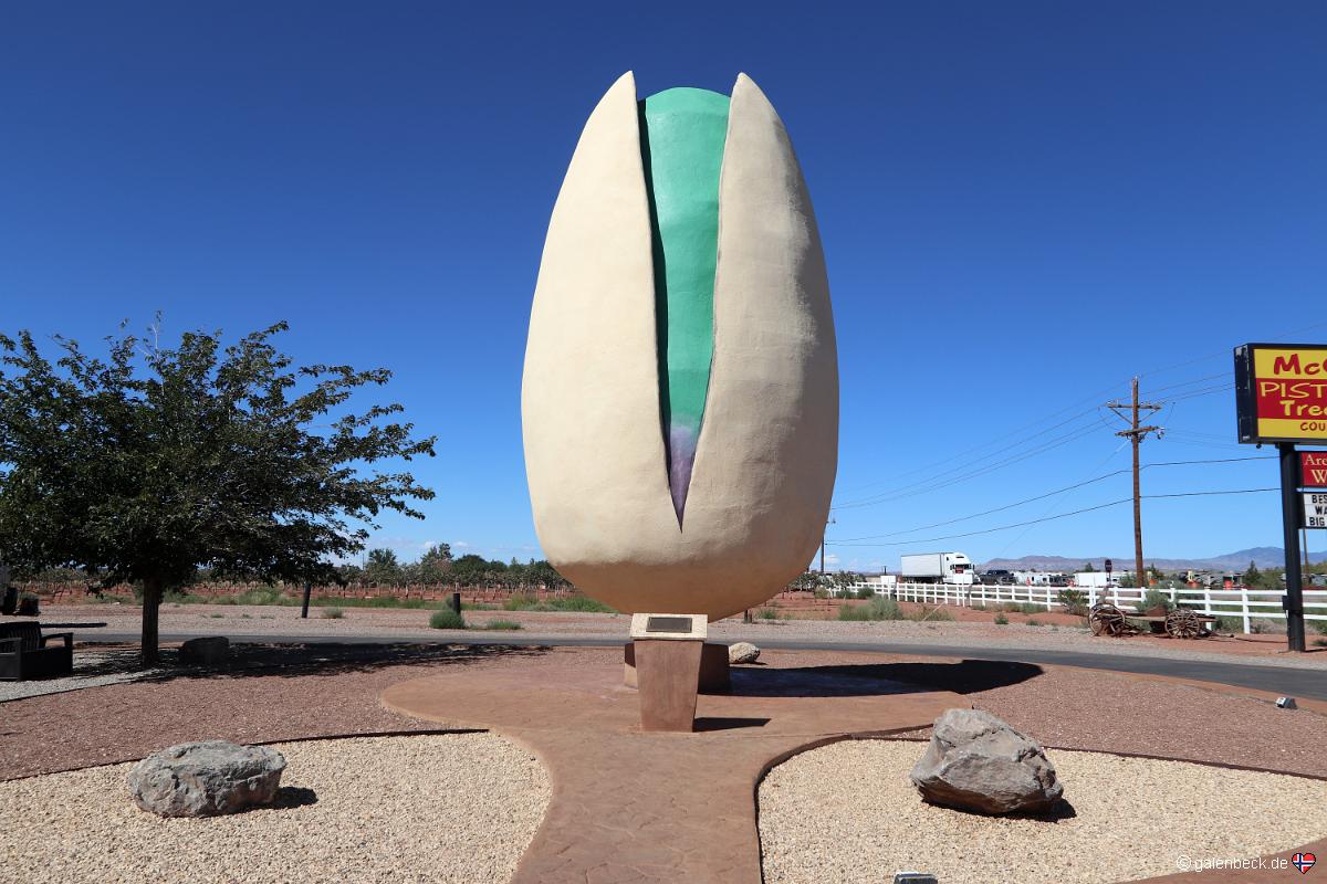 McGinns Pistachio Tree Ranch