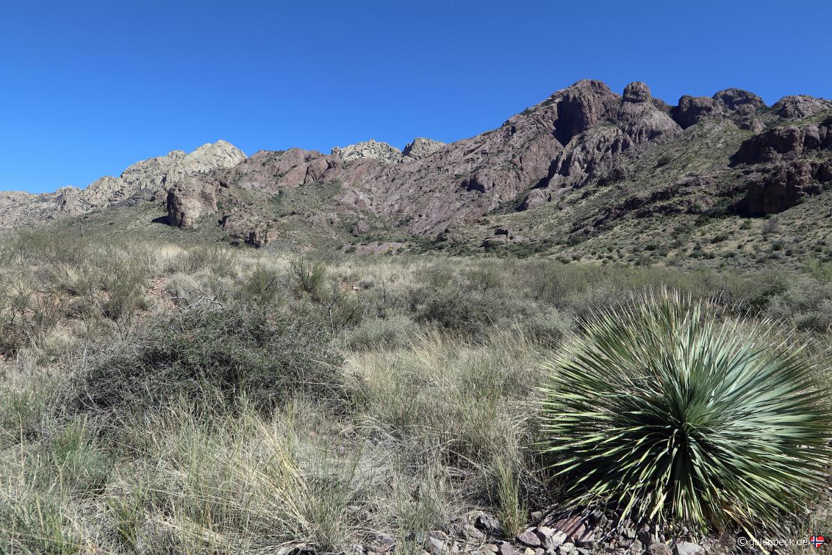 Dripping Springs Natural Area