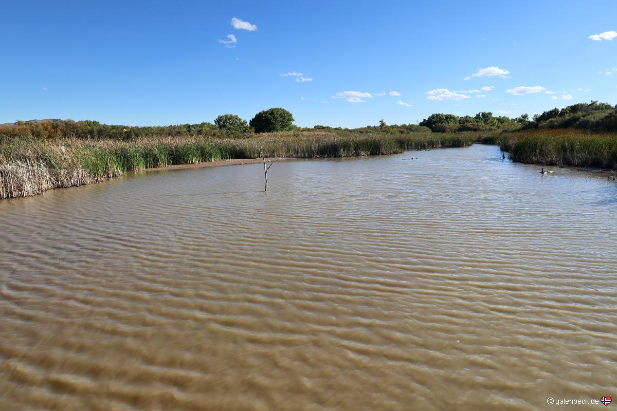 Bosque del Apache National Wildlife Refuge