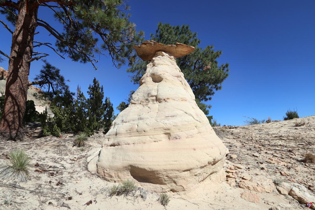 Ojito Wilderness Area