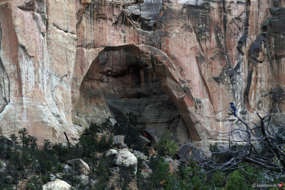 El Malpais National Monument