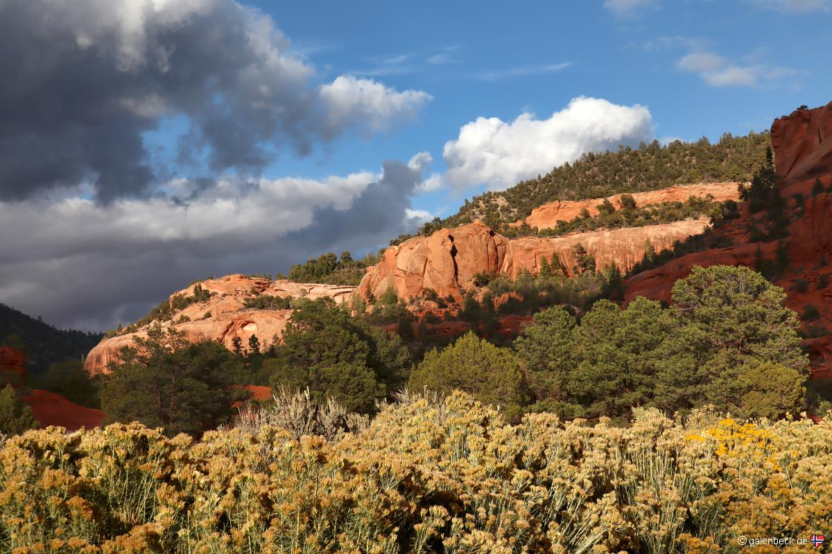Chuska Mountains