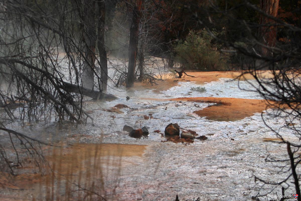 Pinkerton Hot Springs