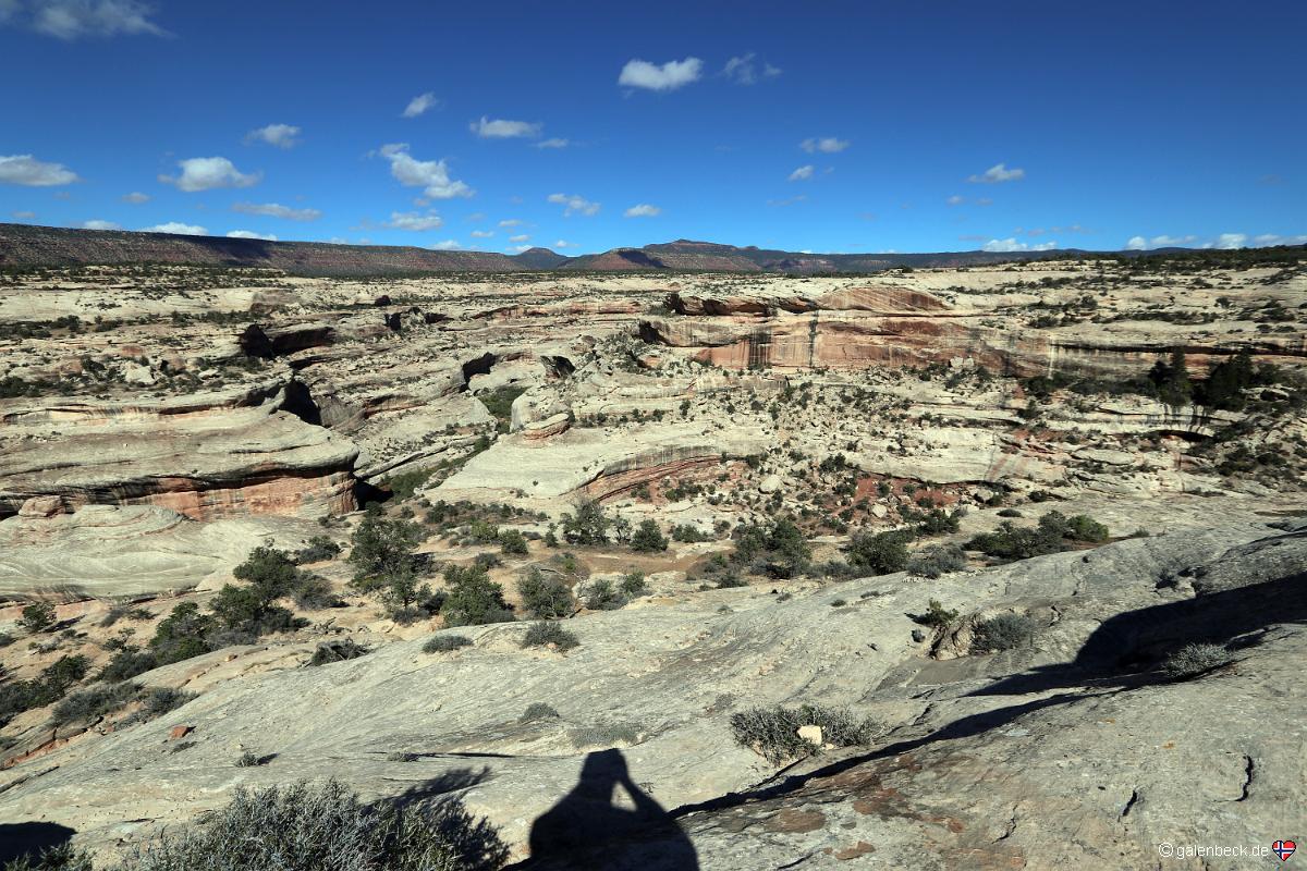 Natural Bridges National Monument