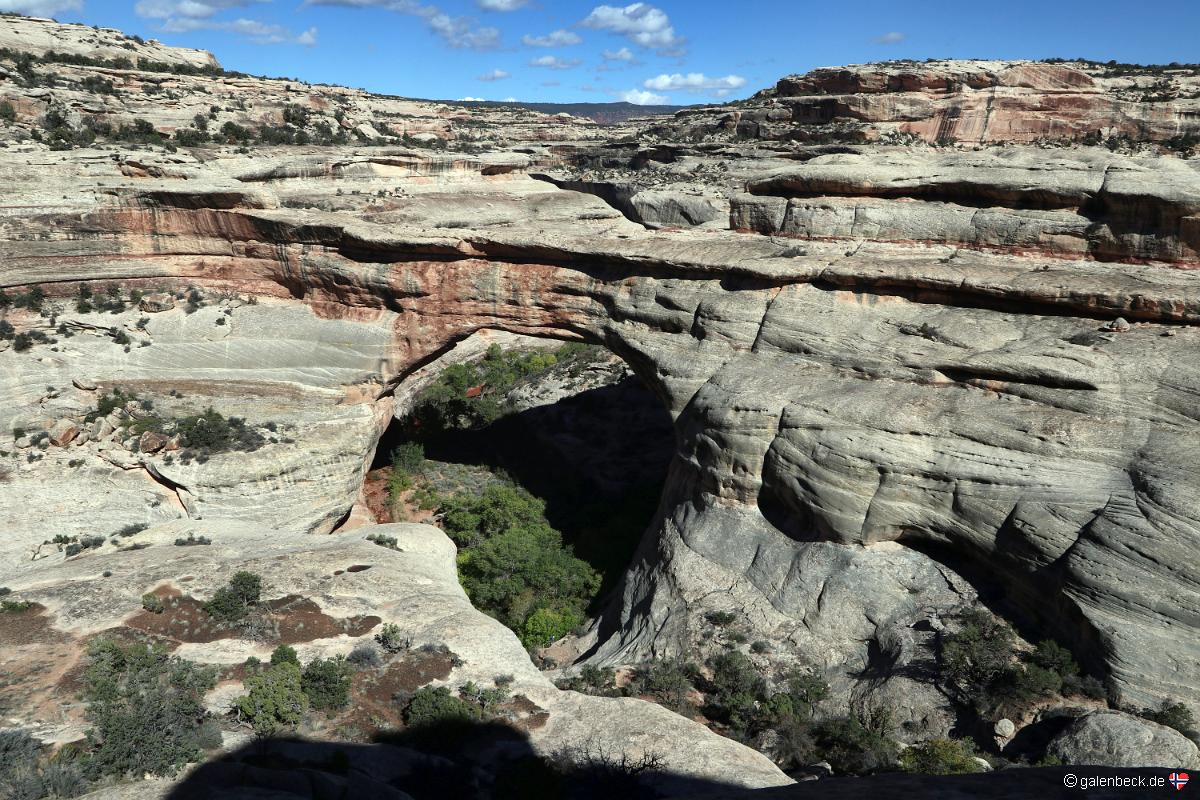 Natural Bridges National Monument