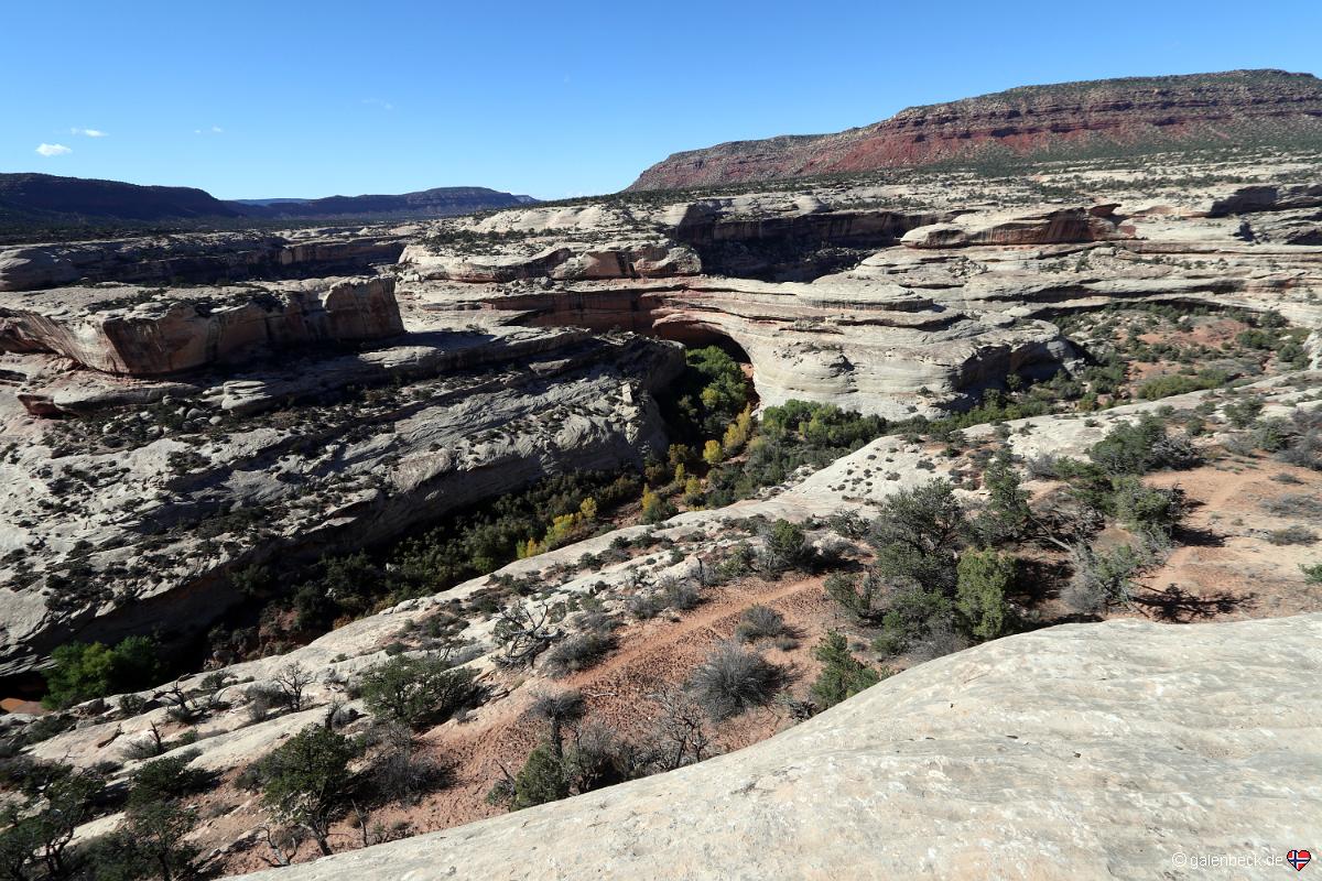 Natural Bridges National Monument
