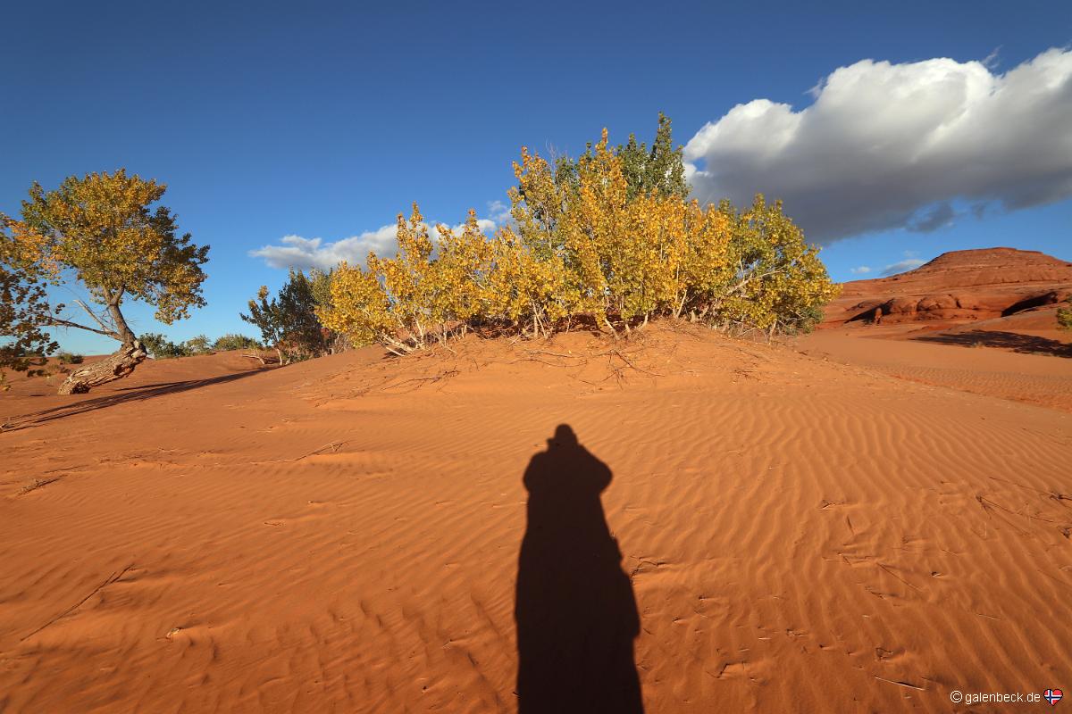 White Wash Sand Dunes