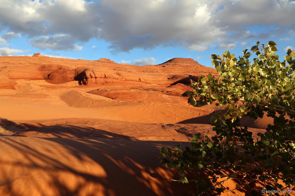 White Wash Sand Dunes