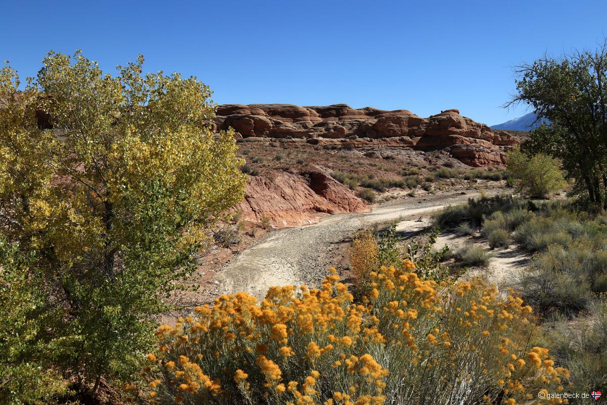 Notom Road Scenic Backway, Burr Trail
