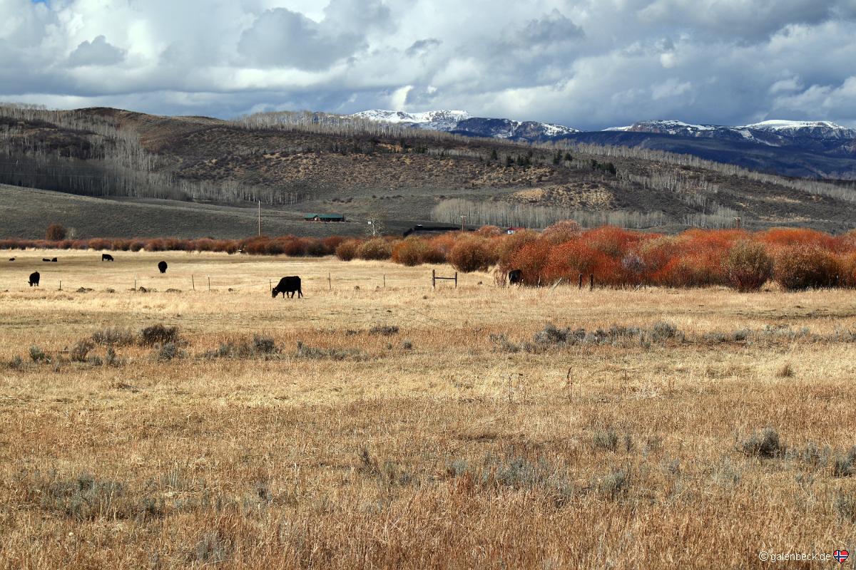 Cache La Poudre-North Park Byway