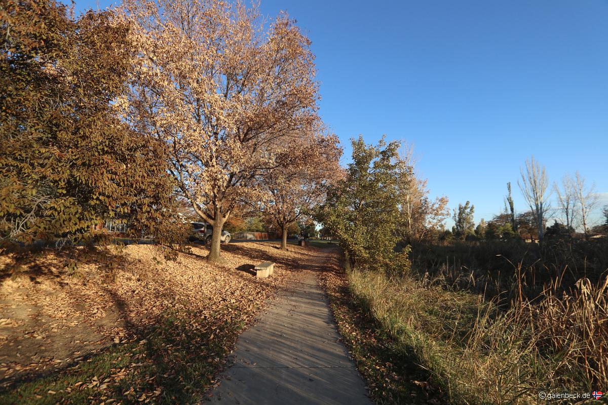 Benson Sculpture Garden