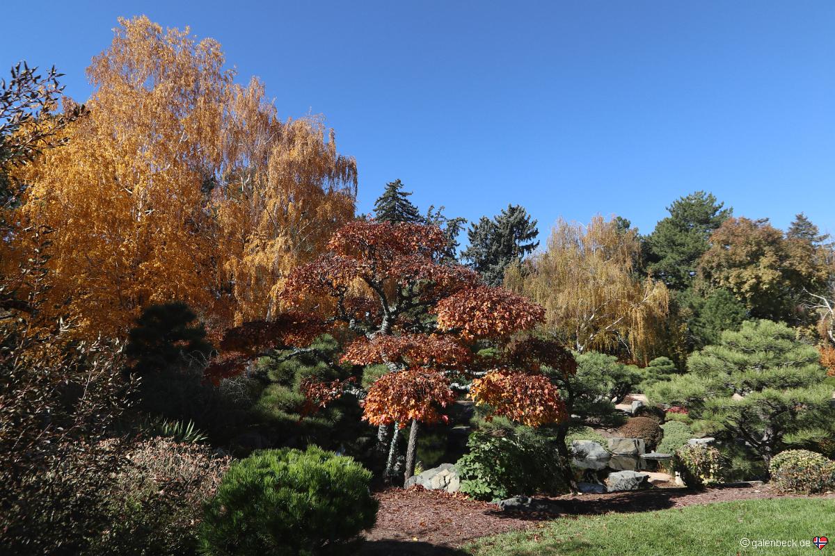 Denver Botanic Gardens