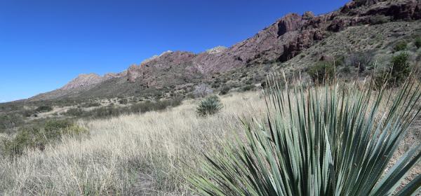 Dripping Springs Natural Area