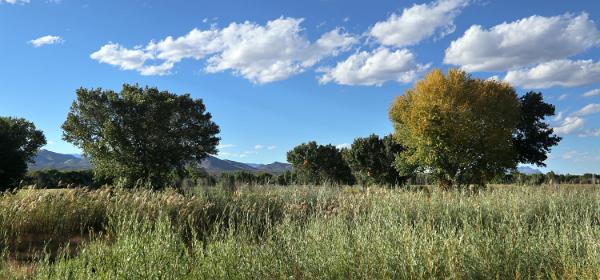 Bosque del Apache National Wildlife Refuge