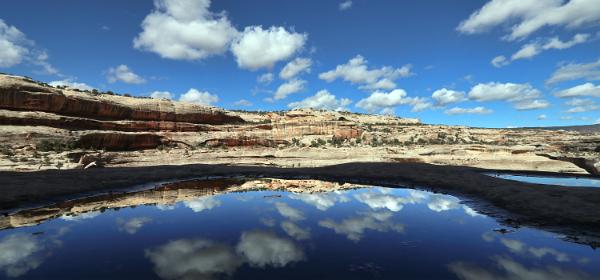 Natural Bridges National Monument